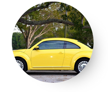 VYBAVEN&Iacute; DO AUT